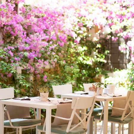 B&B Residenza Di Via Fontana Lucca Kültér fotó