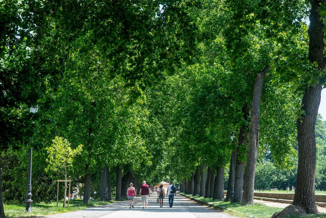 B&B Residenza Di Via Fontana Lucca Kültér fotó