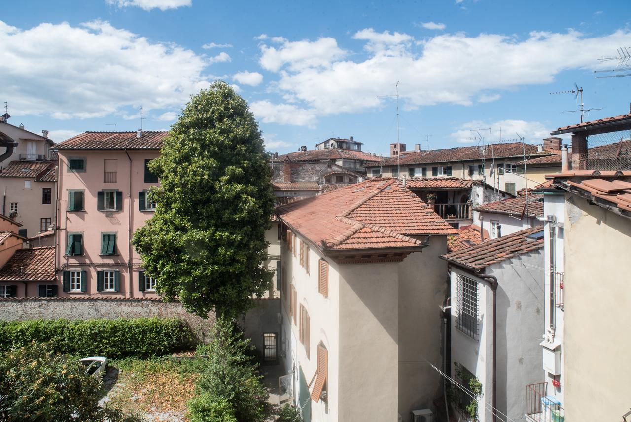 B&B Residenza Di Via Fontana Lucca Kültér fotó